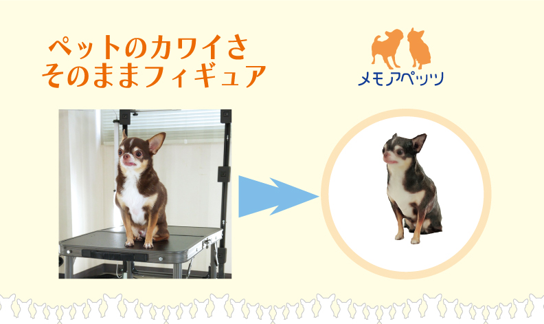 メモアペッツ2